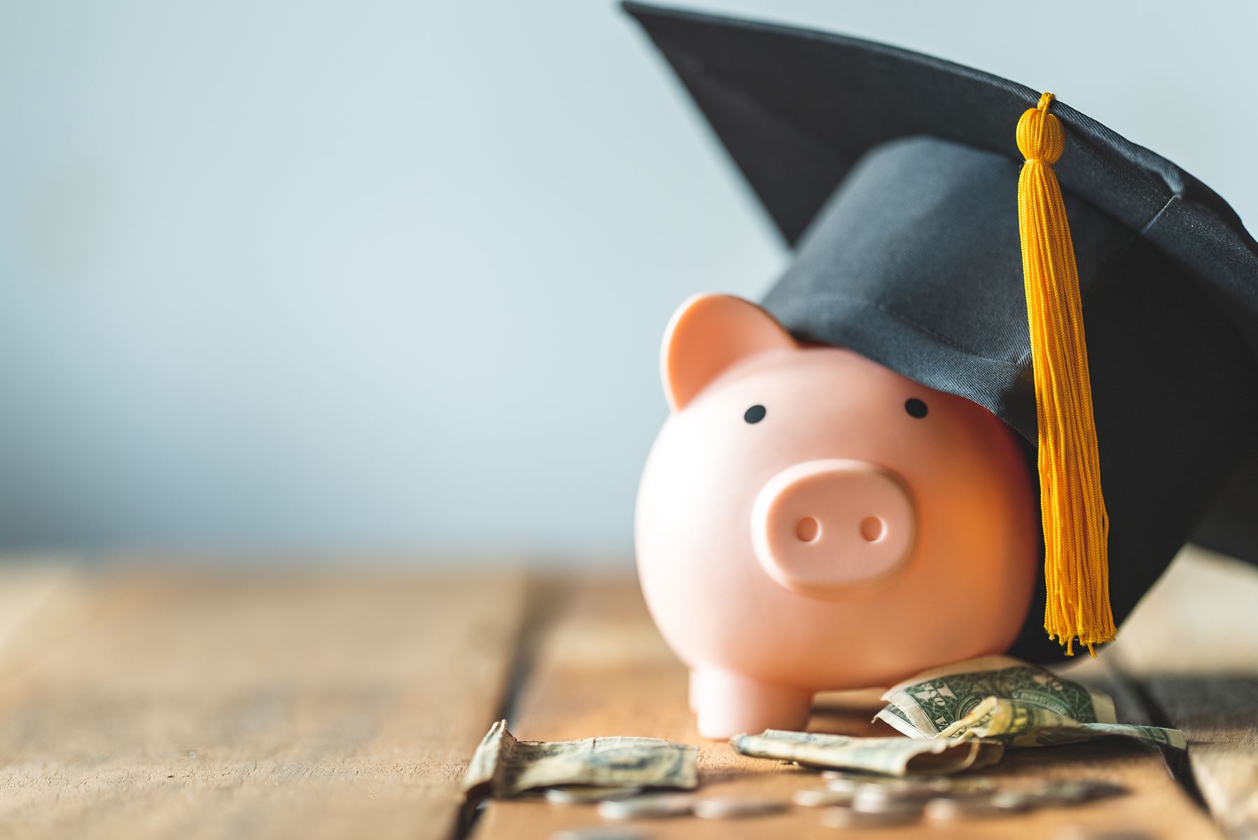 Piggy bank with graduation hat